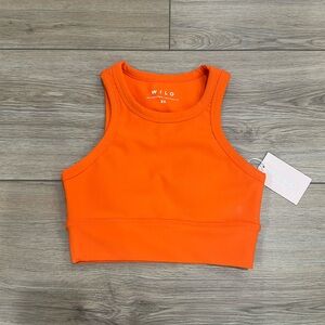 Wilo long line sports bra